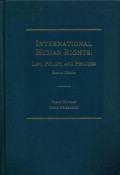 International human rights: law, policy and process