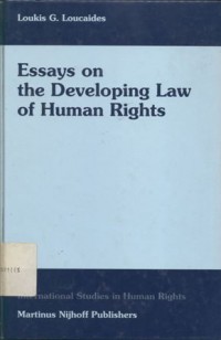 Essays on the developing law of human rights