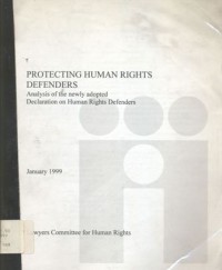 Protecting human rights defenders: analysis of the newly adopted Declaration on Human Rights Defenders