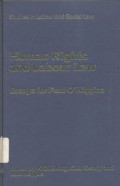 Human rights and labour law: essays for Paul O Higgins