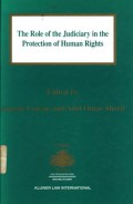 The Role of the Judiciary in the Protection of Human Rights