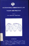 International human rights law: theory and practice