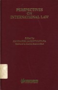 Perspectives on international law