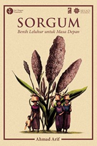 Sorgum: Benih Leluhur untuk Masa Depan
