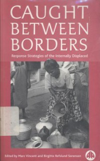 Caught between borders: response strategies of the internally displaced