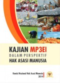 KAJIAN MP3EI DALAM PERSEPKTIF HAK ASASI MANUSIA (e-book / pdf)