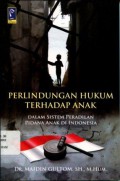 Perlindungan Hukum Terhadap Anak dalam Sistem Peradilan Pidana Anak di Indonesia